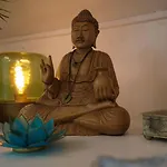 Flow * 암스테르담