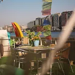 Flow 암스테르담