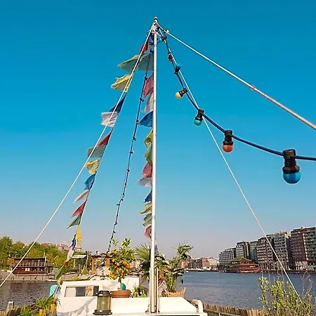 Botel Flow