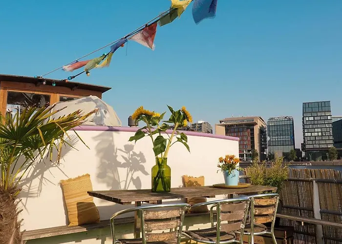 Flow 암스테르담