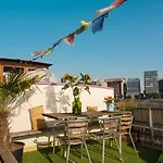 Flow 암스테르담