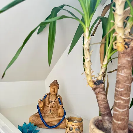 船上ホテル Flow