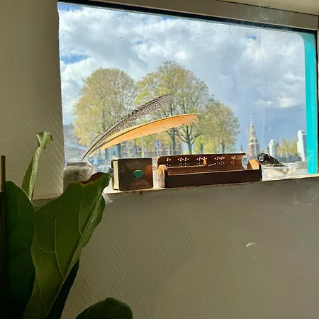 Flow アムステルダム