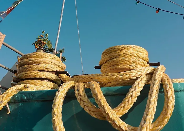 Flow アムステルダム